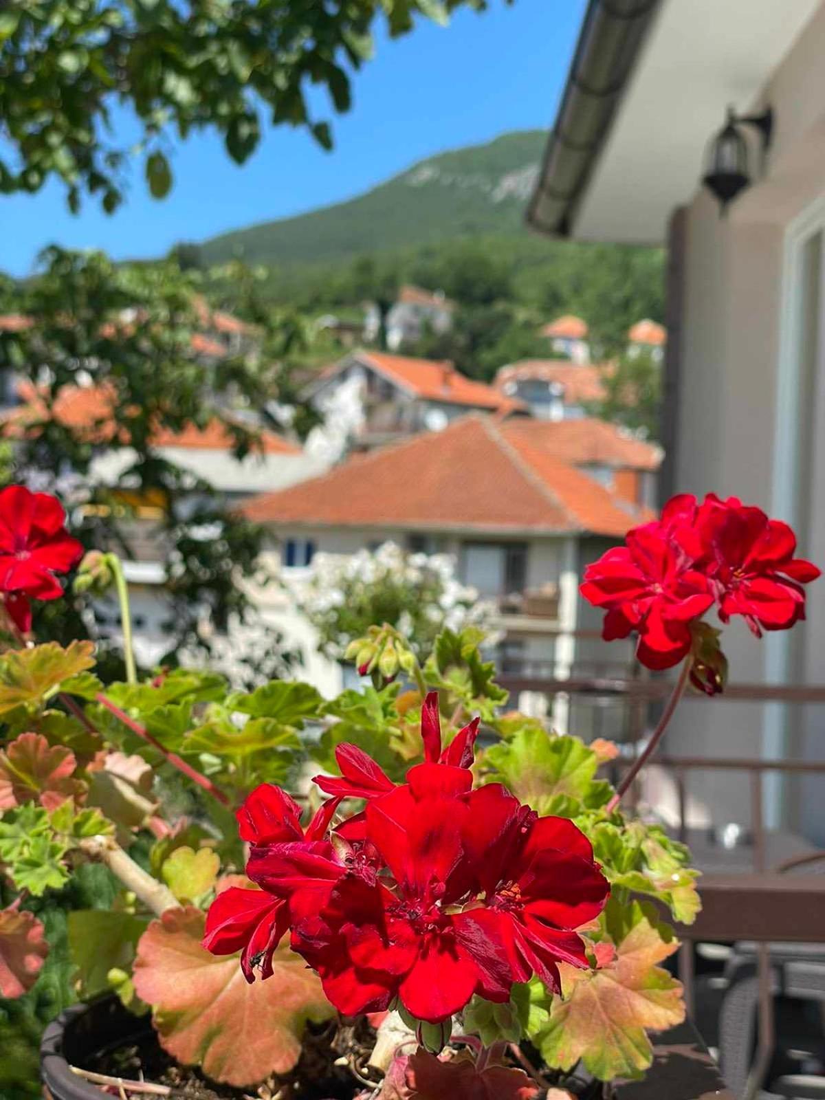 Gopo Guesthouse Elshani Екстериор снимка