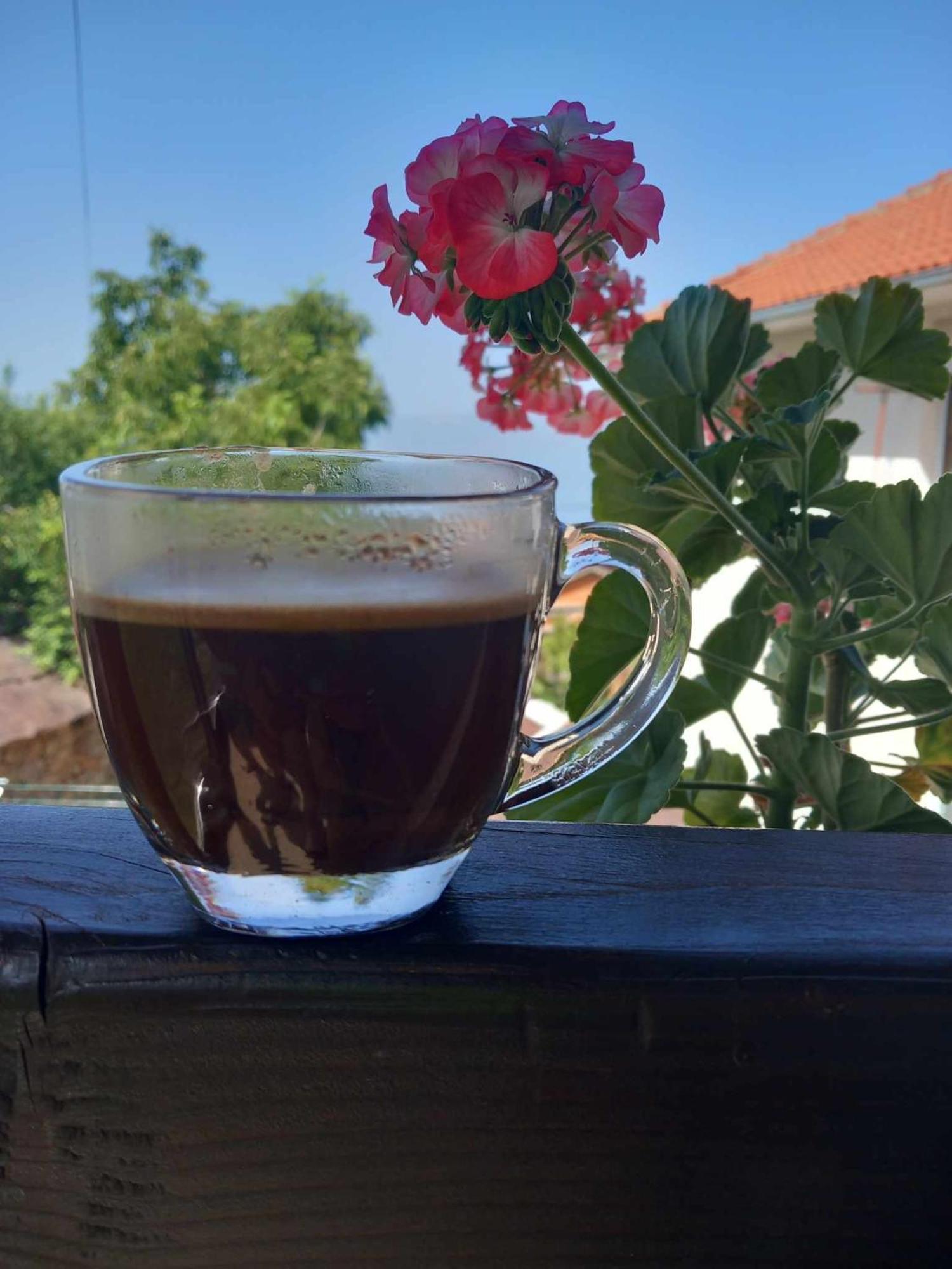 Gopo Guesthouse Elshani Екстериор снимка