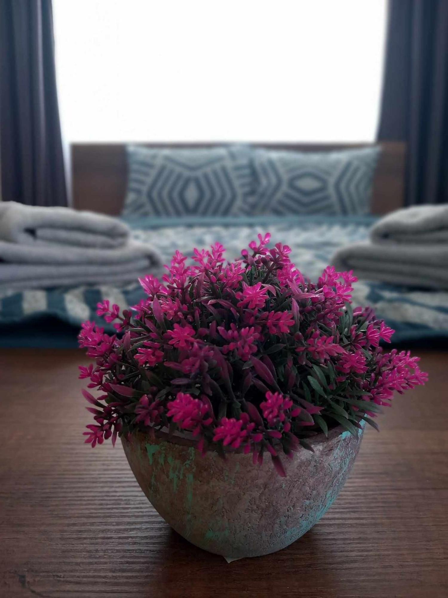 Gopo Guesthouse Elshani Екстериор снимка