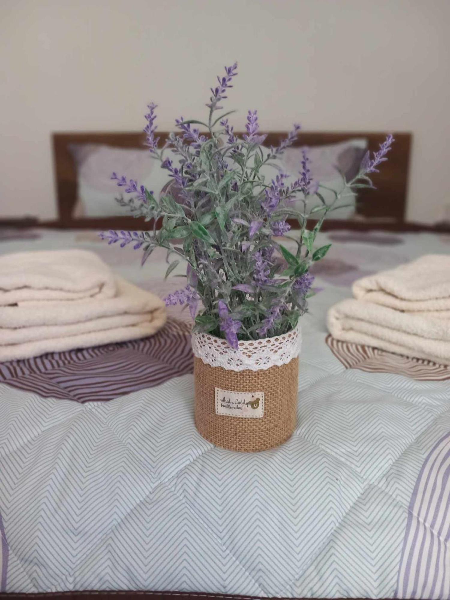 Gopo Guesthouse Elshani Екстериор снимка