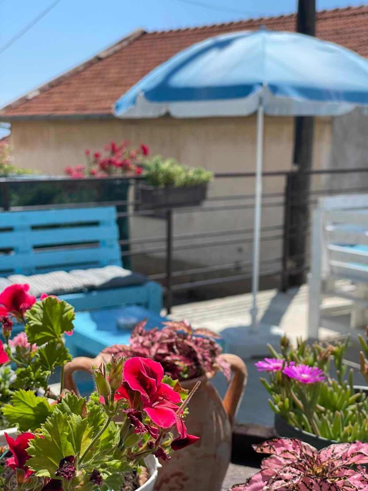 Gopo Guesthouse Elshani Екстериор снимка